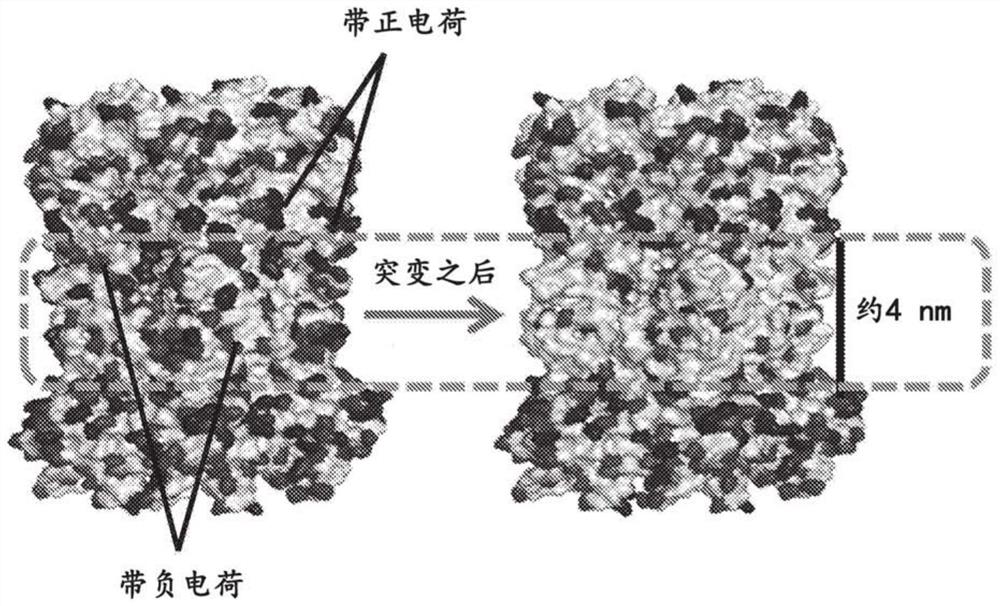 Nanopore assemblies and uses thereof