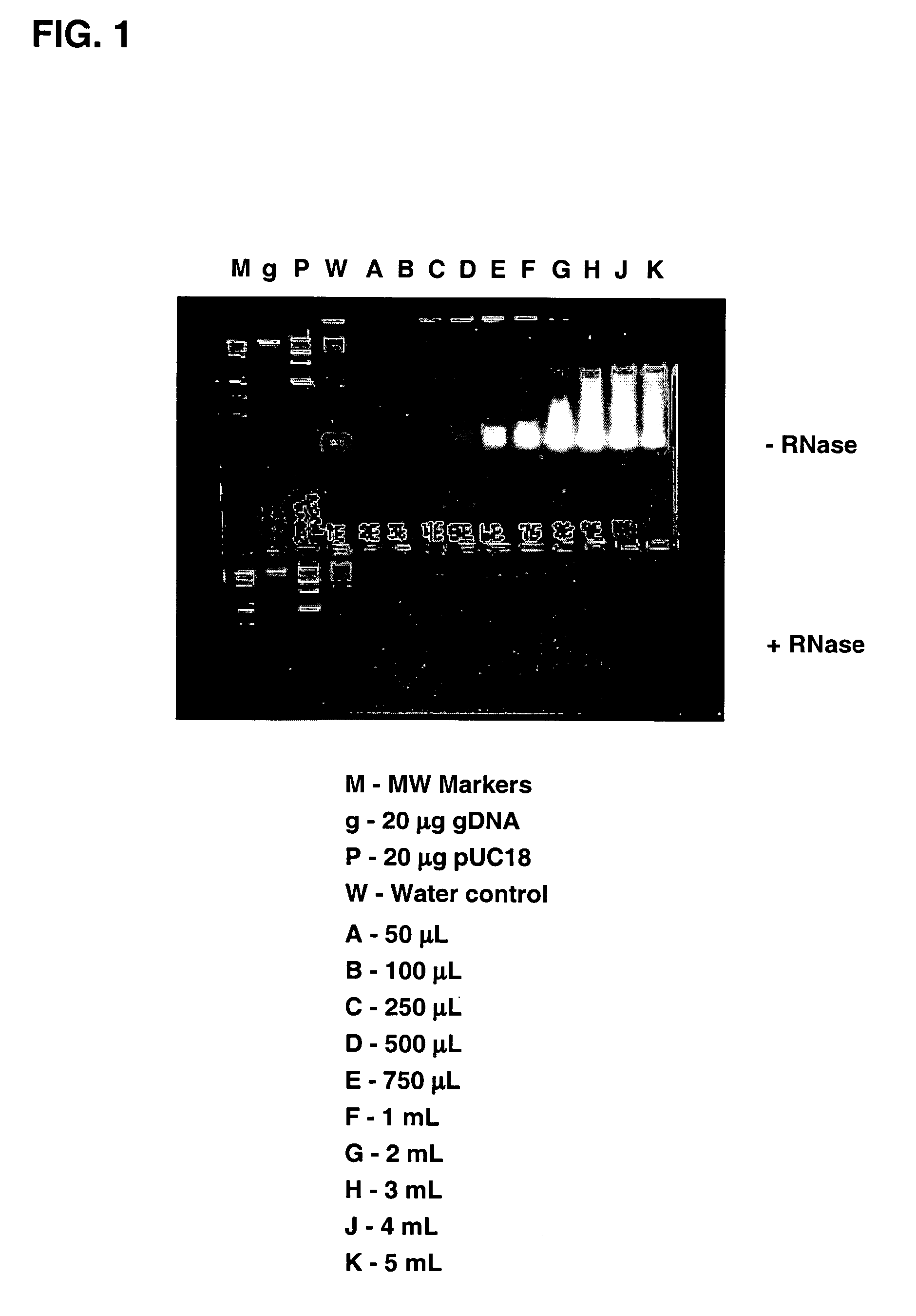Methods of enhancing isolation of RNA from biological samples