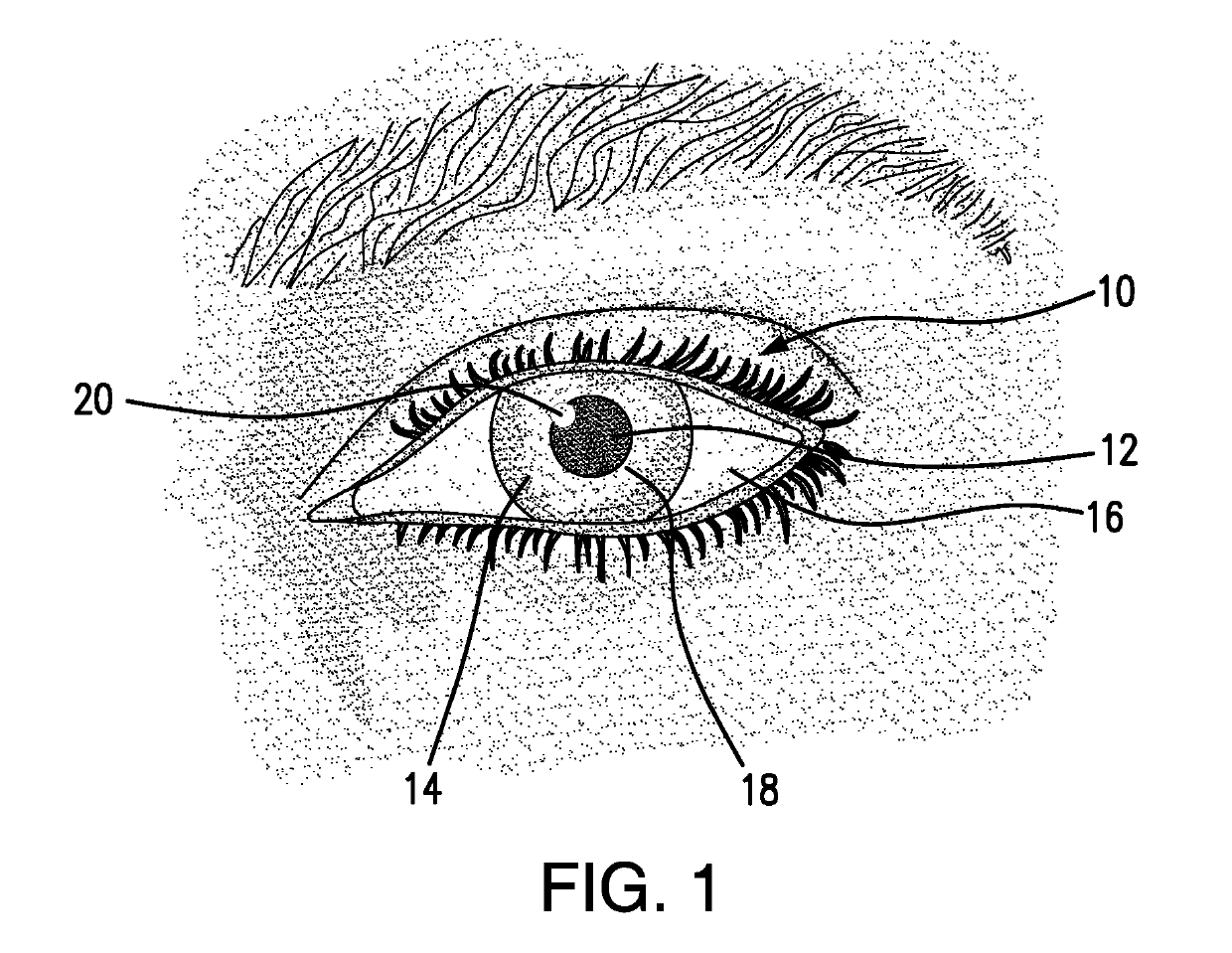 Systems and Methods for Capturing and Analyzing Pupil Images to Determine Toxicology and Neurophysiology