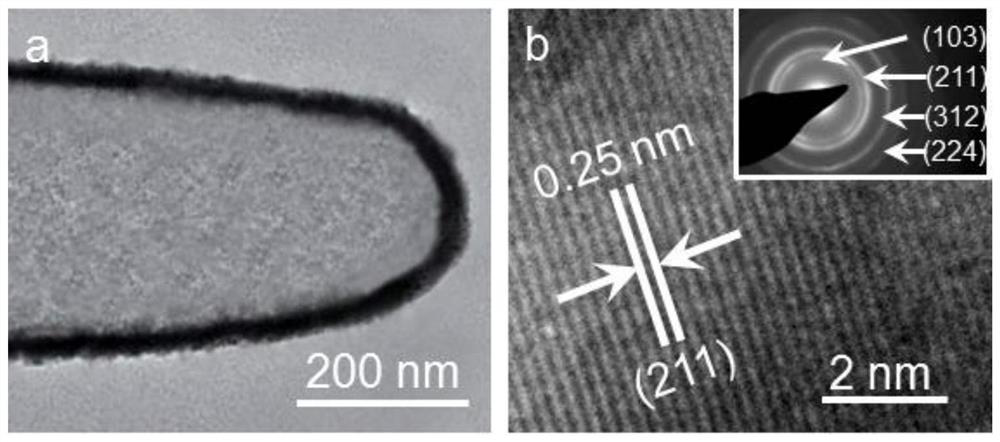 Nitrogen-doped and oxygen vacancy-modified zinc manganate nanotube array material as well as preparation method and application thereof