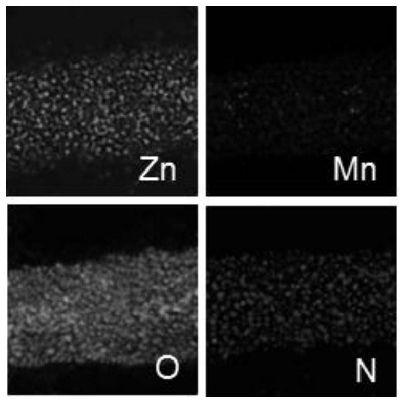 Nitrogen-doped and oxygen vacancy-modified zinc manganate nanotube array material as well as preparation method and application thereof