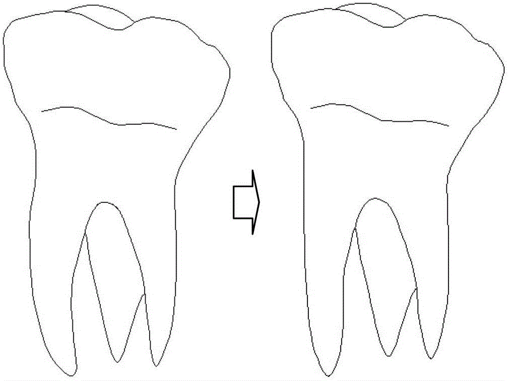 Modeling method of oral cavity model used for individual three-dimensional orthodontic force test