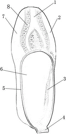 All-leather shoes for wearing indoors and manufacturing method of all-leather shoes
