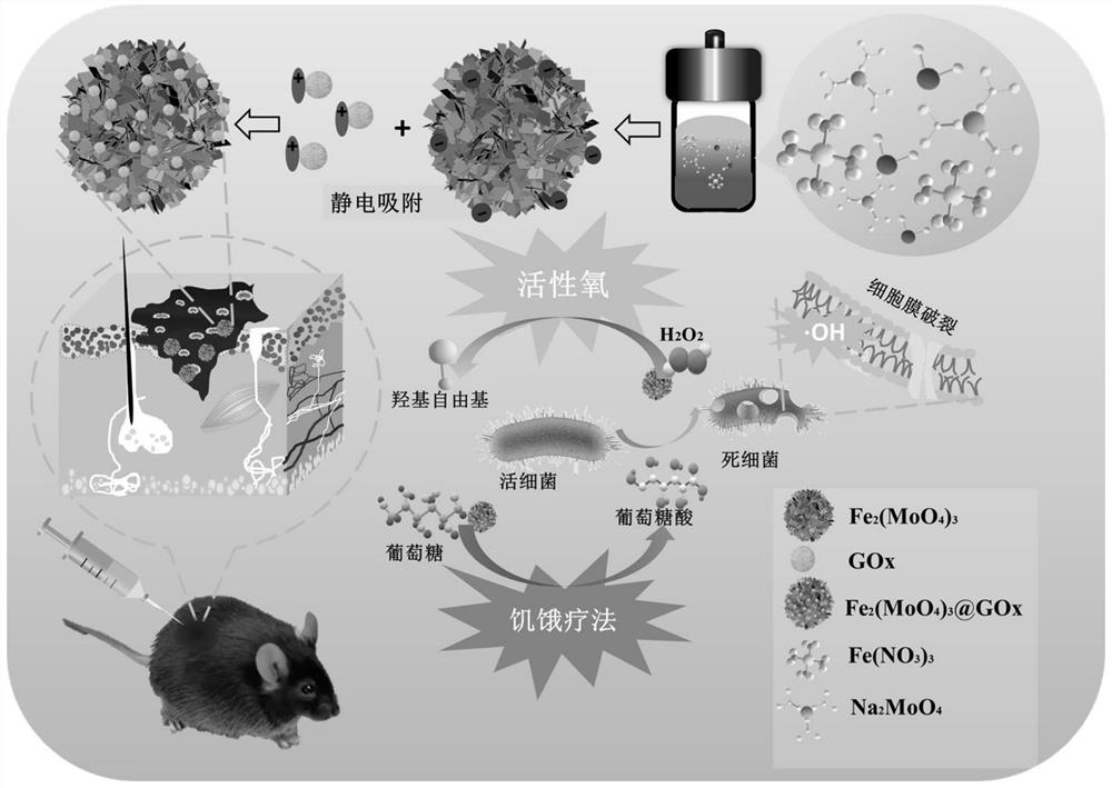 Preparation method and application of double-enzyme active antibacterial material