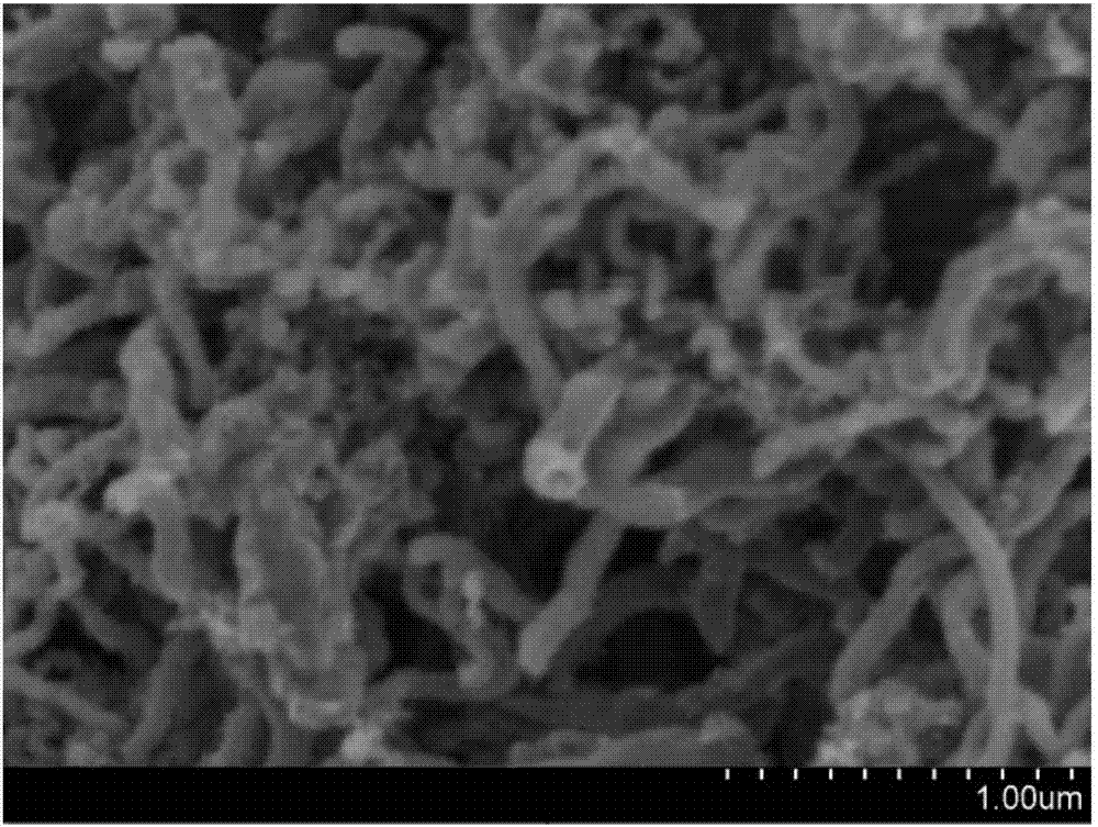 Carbon-based chemical energy storage material and preparation method thereof