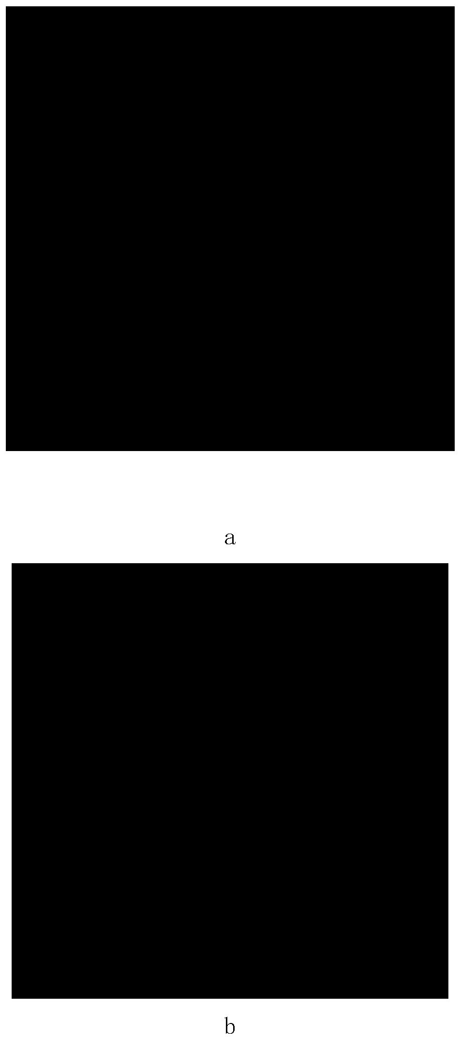 Astragaloside III nanoparticles traced by dihydroporphin fluorescence and preparation method thereof