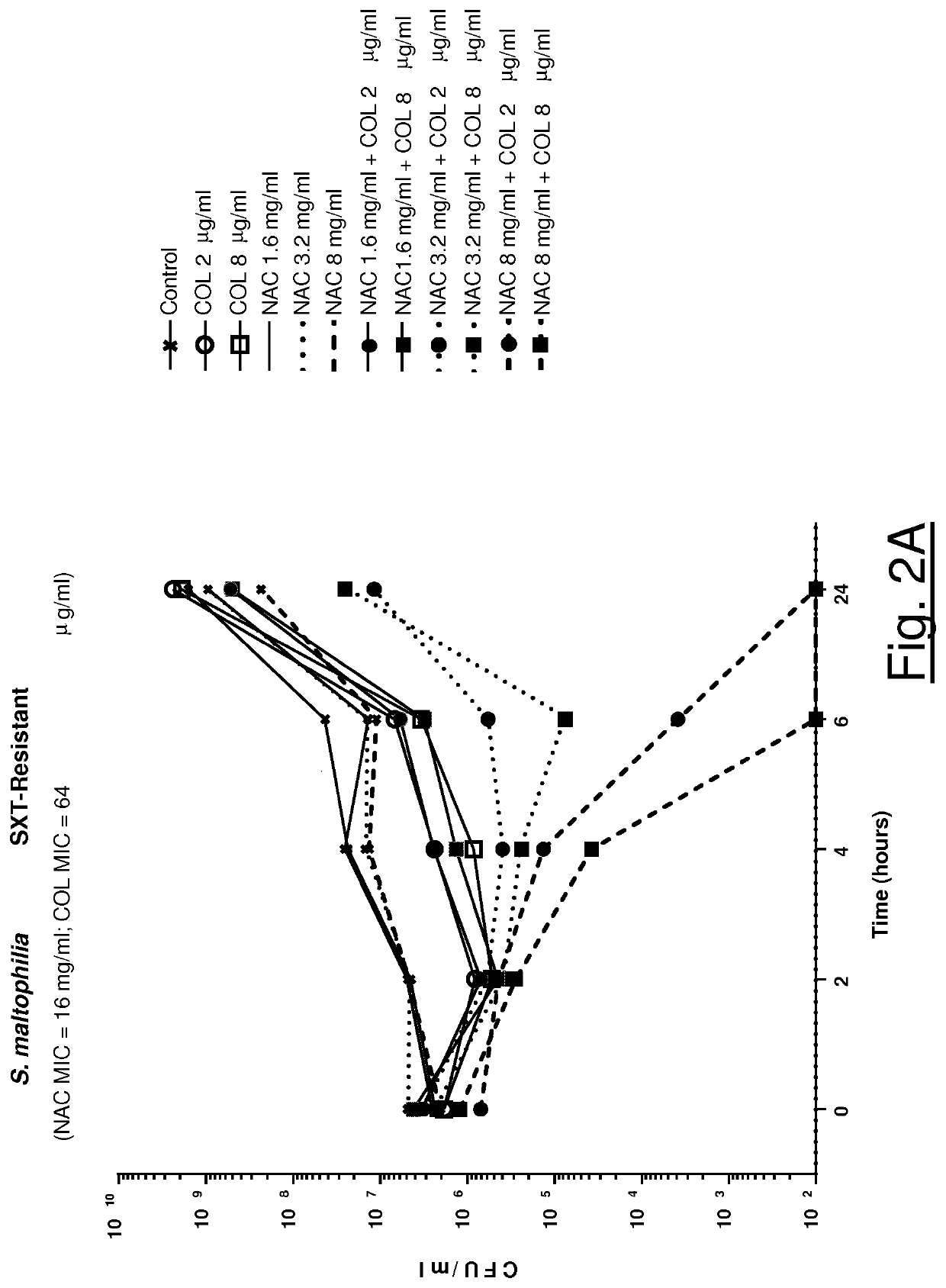 Association of n-acetylcysteine and colistin for use in bacterial infections