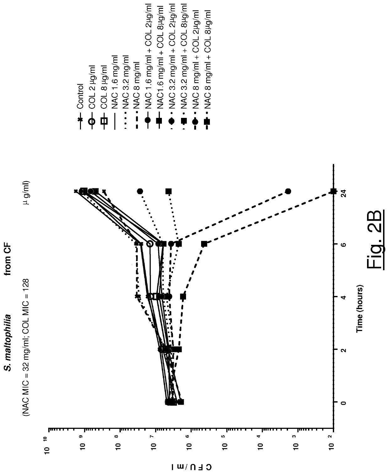 Association of n-acetylcysteine and colistin for use in bacterial infections