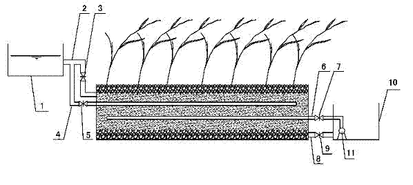 Cyclic enhanced denitrification double-inlet type constructed wetland device