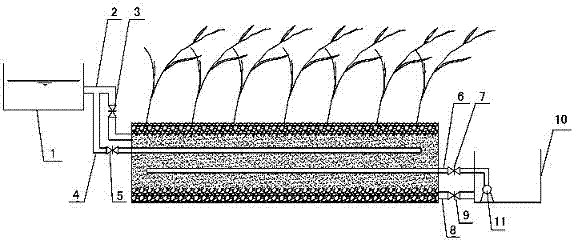 Cyclic enhanced denitrification double-inlet type constructed wetland device