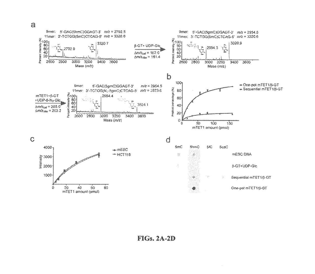 Composition and methods related to modification of 5-methylcytosine (5-mC)