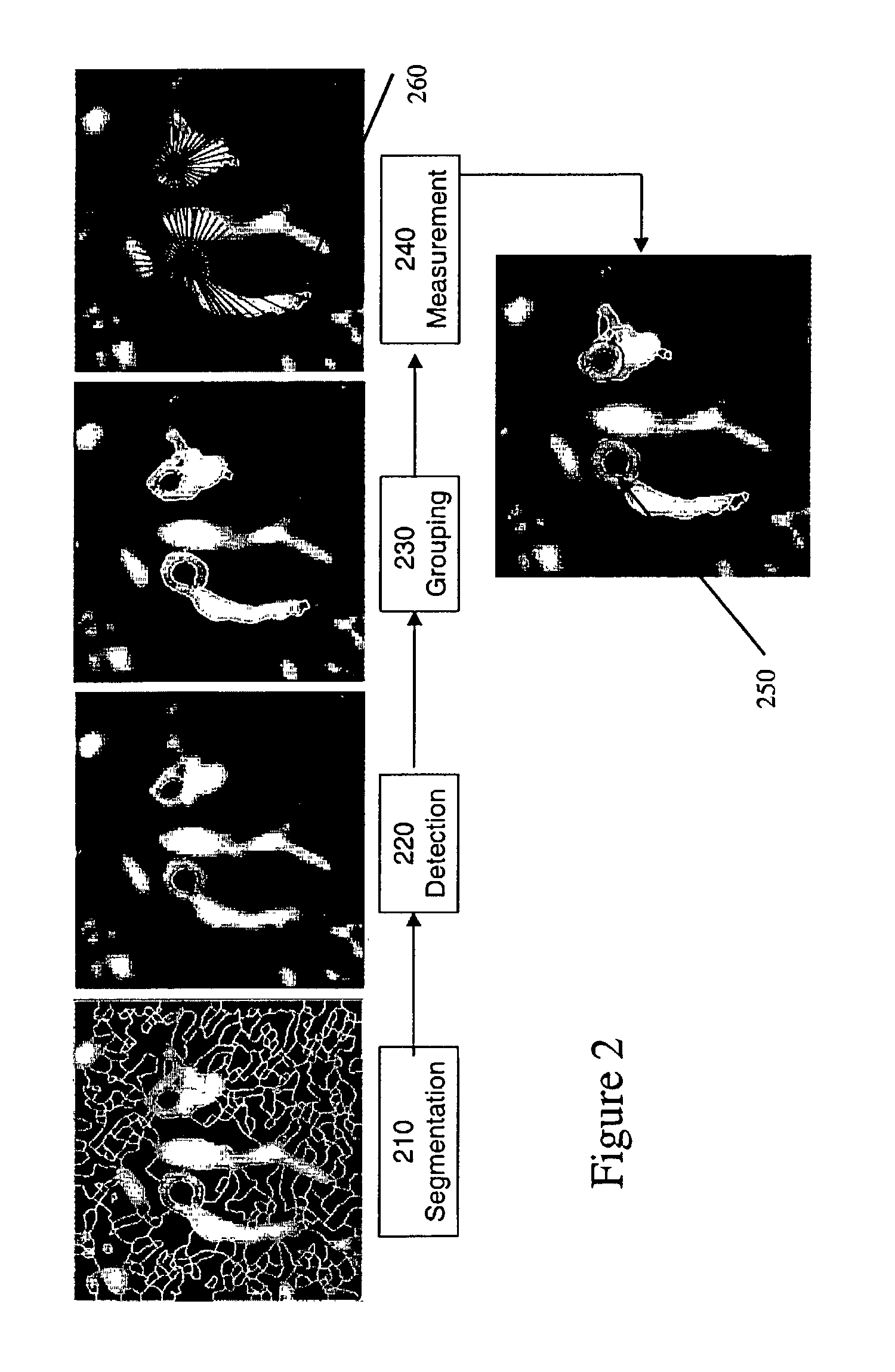 Method and system for airway measurement
