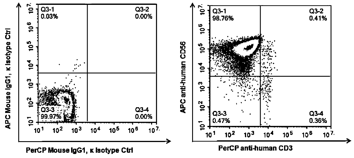 Method for stably amplifying high-stability and high-cytotoxicity NK cells in vivo