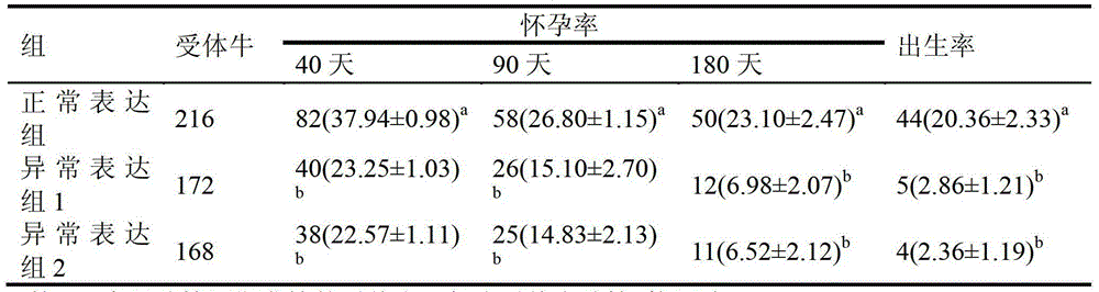 Method for screening donor cell line based on blastocyst gene expression level