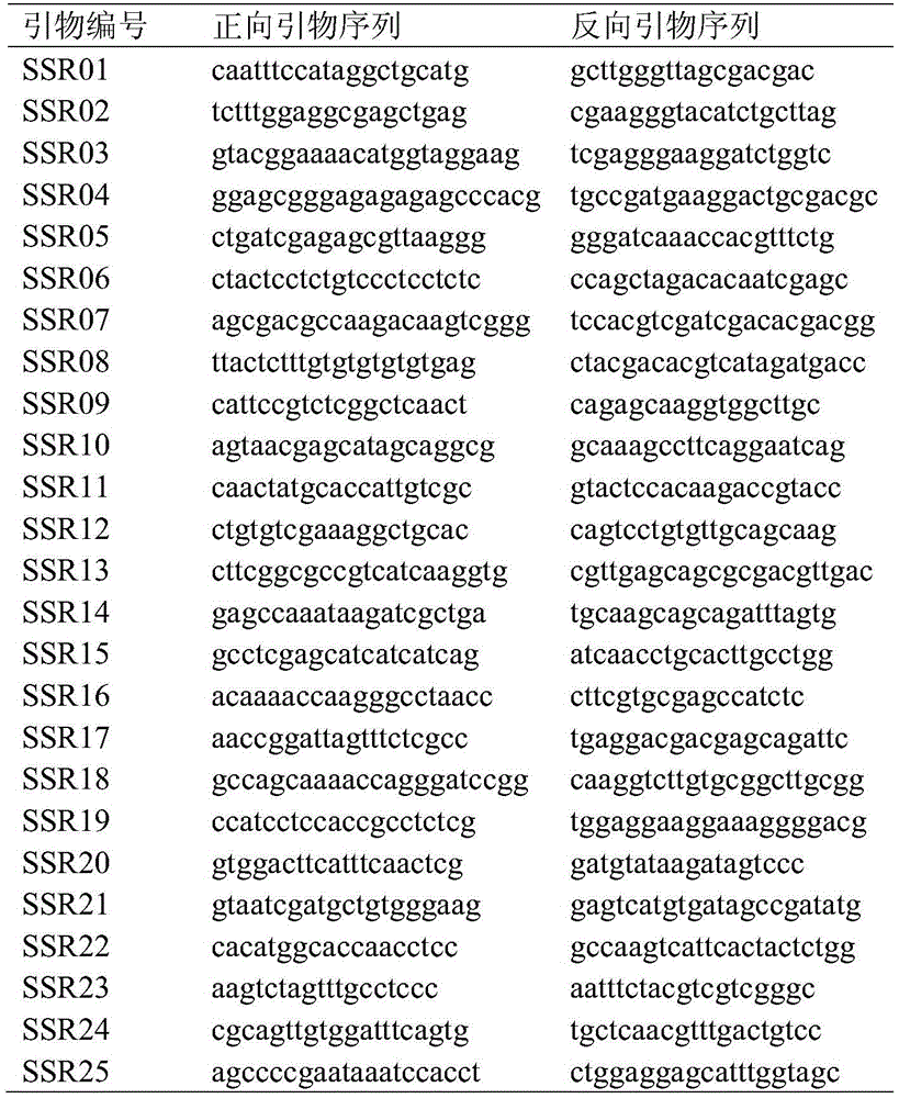 Primer combination for genetic integrity analysis of common wild rice and application of primer combination