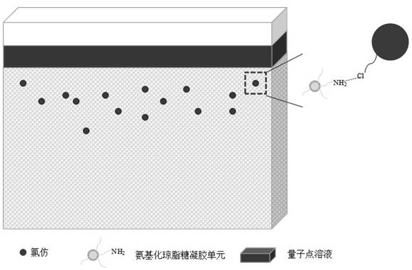 A kind of purification method of quantum dot