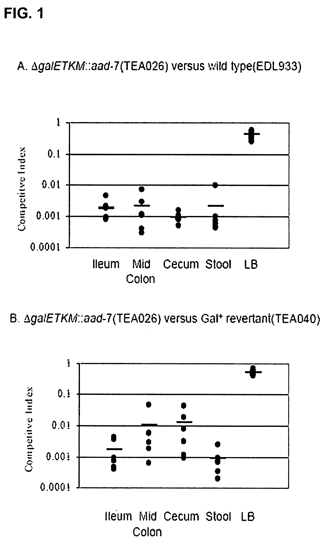 Escherichia coli mutants and methods of use thereof