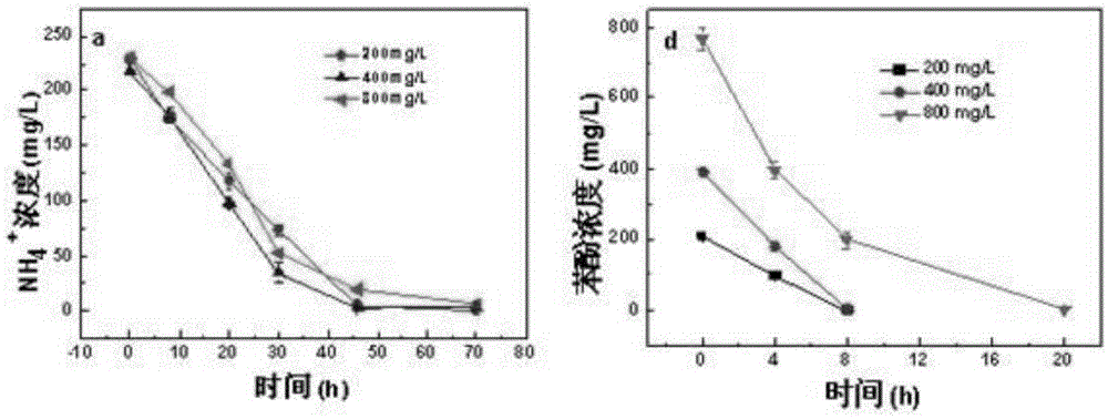 Device and method for simultaneously degrading phenol and ammonia nitrogen using microbial fuel cells