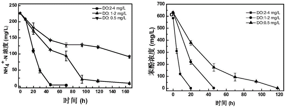 Device and method for simultaneously degrading phenol and ammonia nitrogen using microbial fuel cells