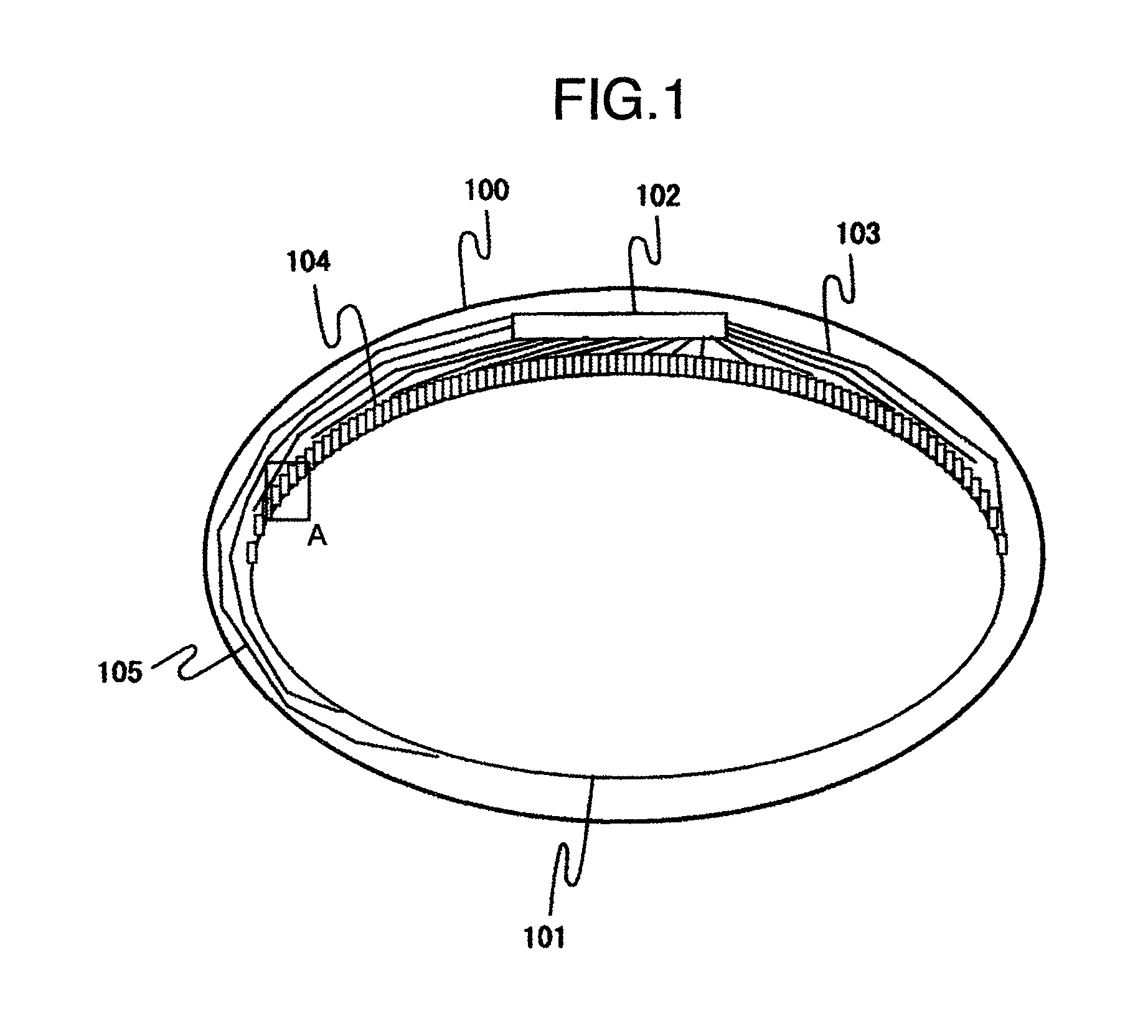 Display device having particular pixels and signal wiring internal circuits