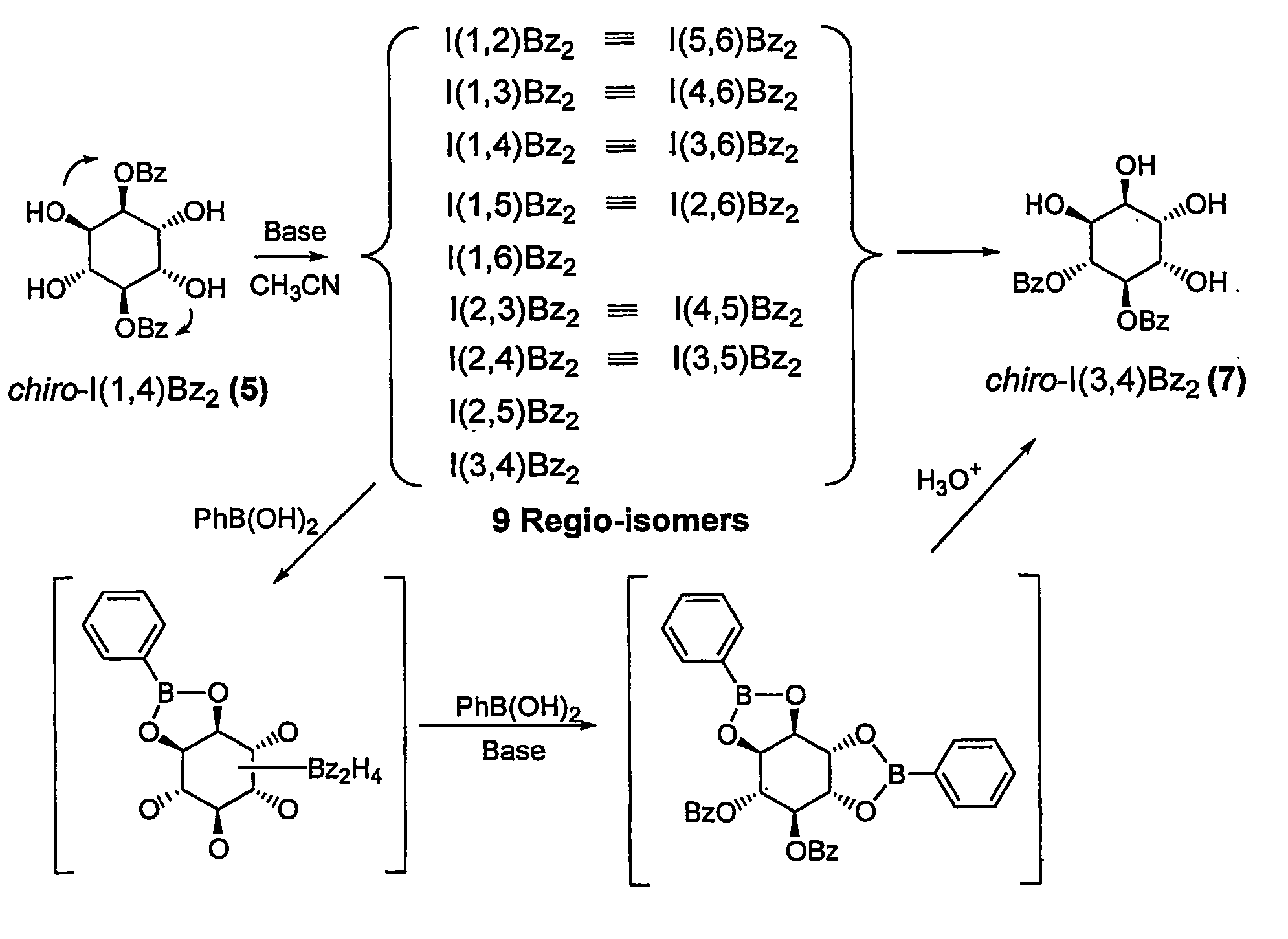 Receptor Specific Binder Discovery Using Intramolecular Acyl Migration Induced Dynamic Carbohydrate Library