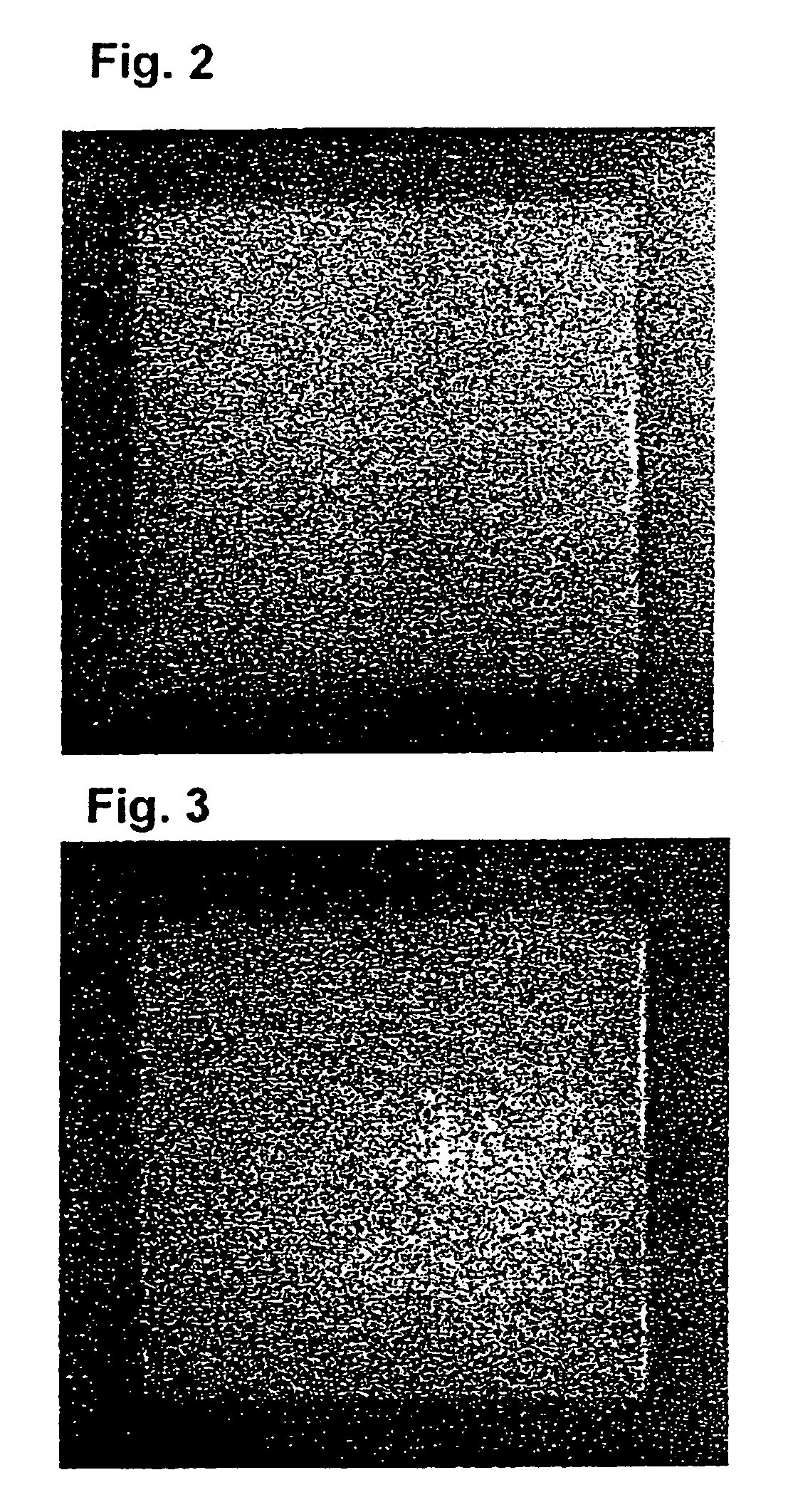 Solid electrolyte containing insulating grains for gas sensor