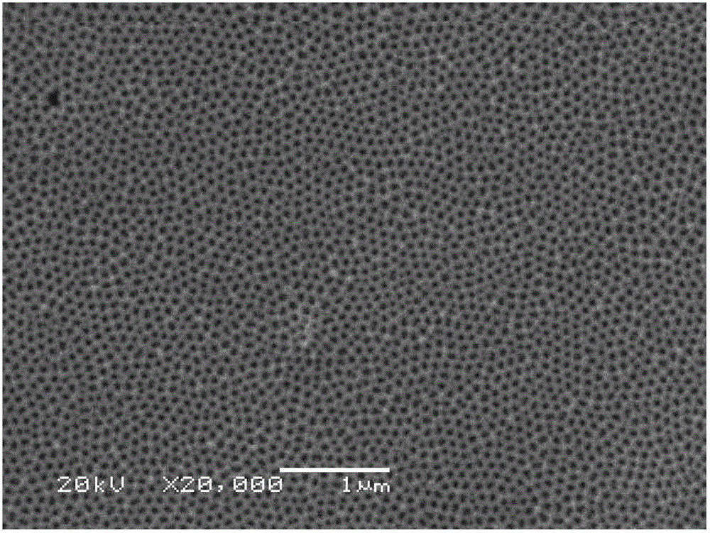 A molten carbonate fuel cell structure
