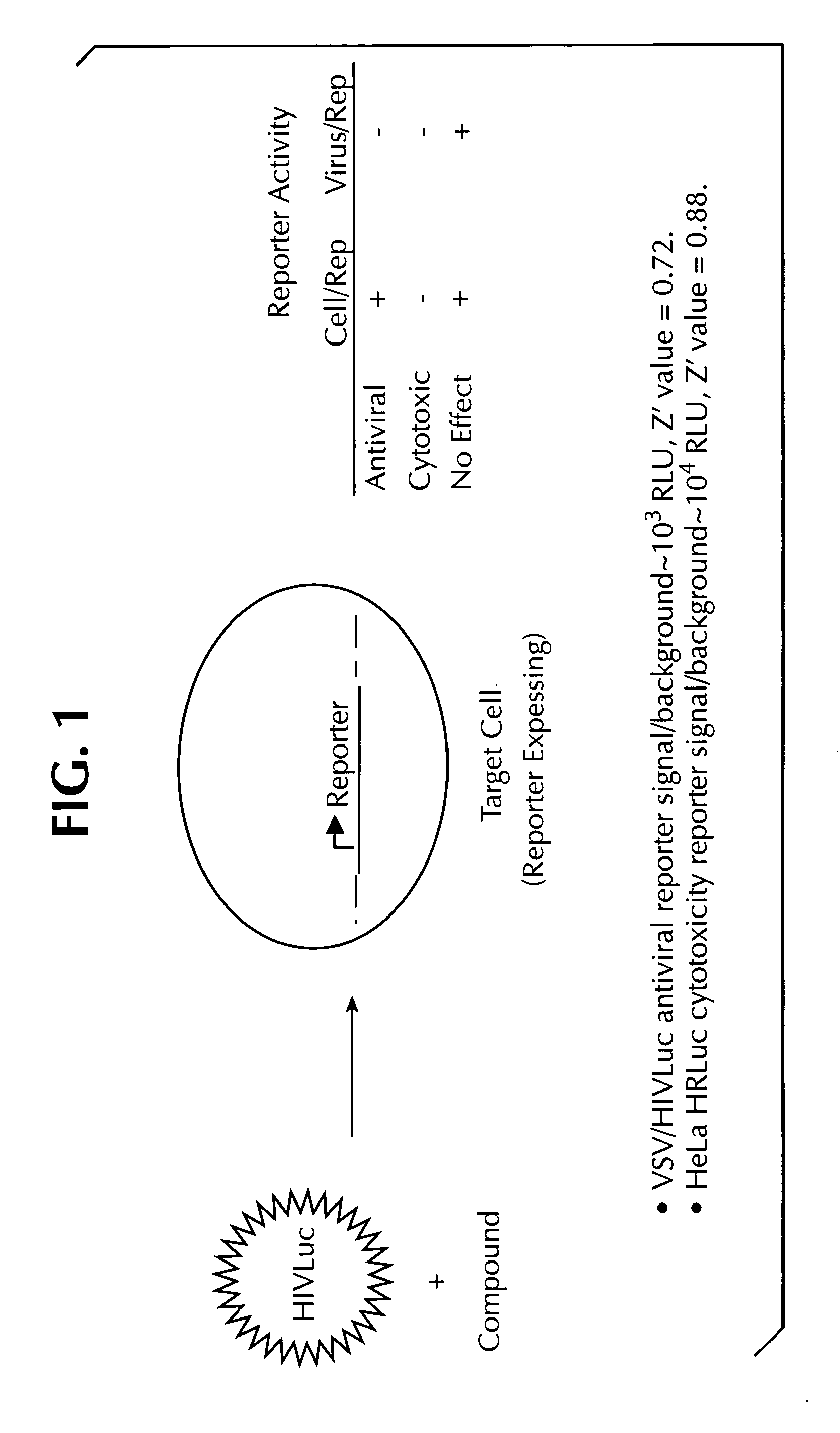 Dual assay for evaluating activity and cytotoxicity of compounds in the same population of cells