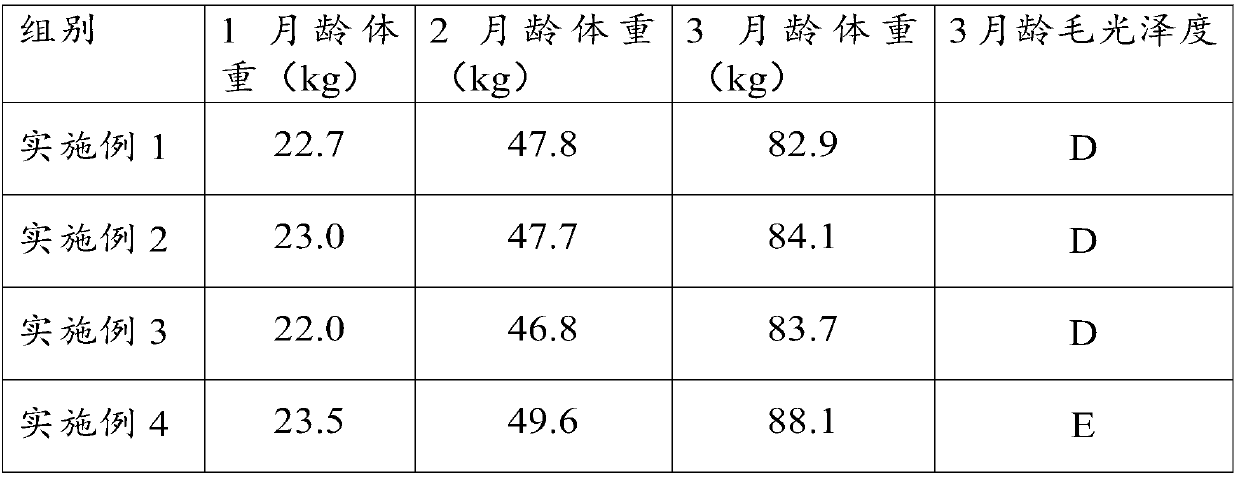 Feed for feeding 1-3-month-old pigs and preparation method thereof