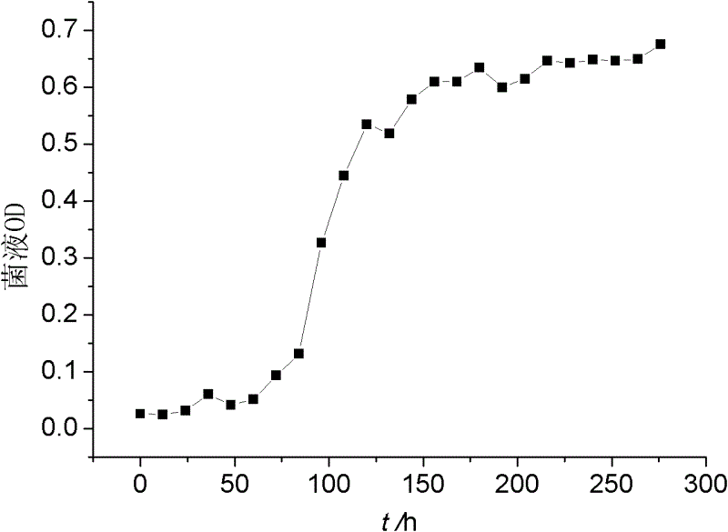 Chryseobacterium sp. capable of using methane and application thereof