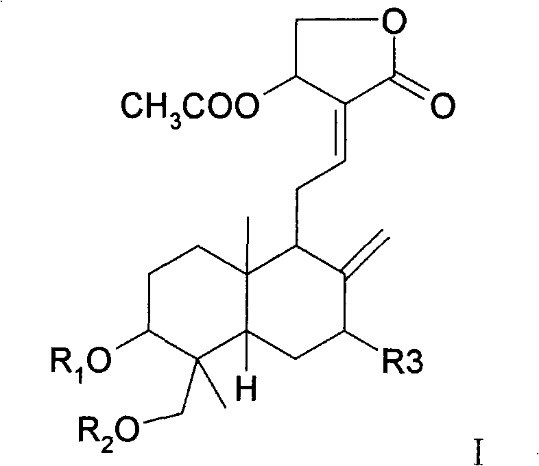 Medicinal composition containing andrographolide derivatives and preparation method thereof and application