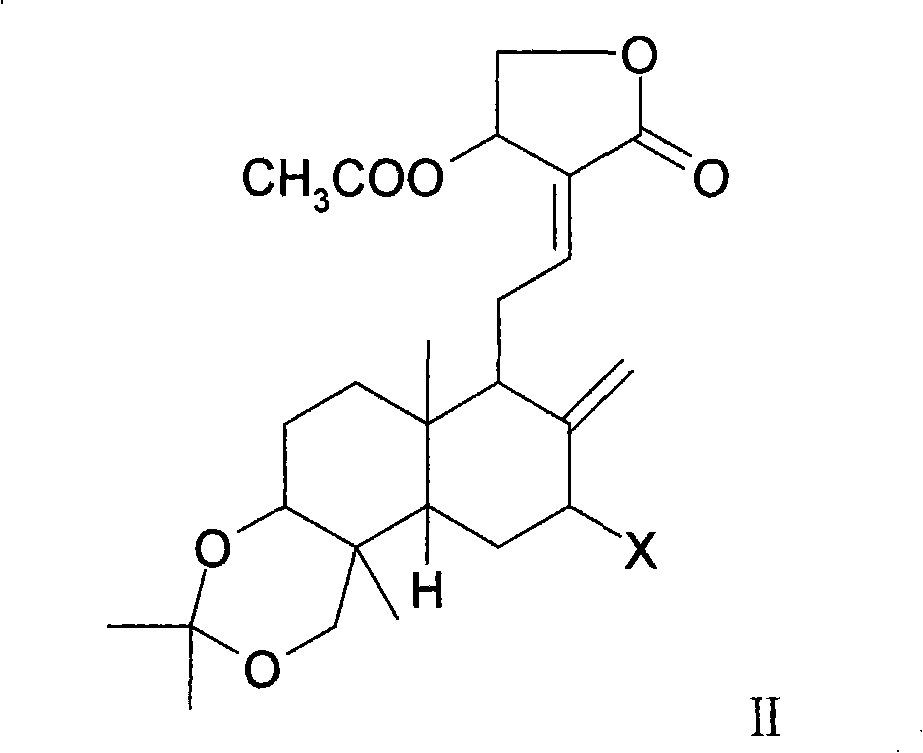 Medicinal composition containing andrographolide derivatives and preparation method thereof and application