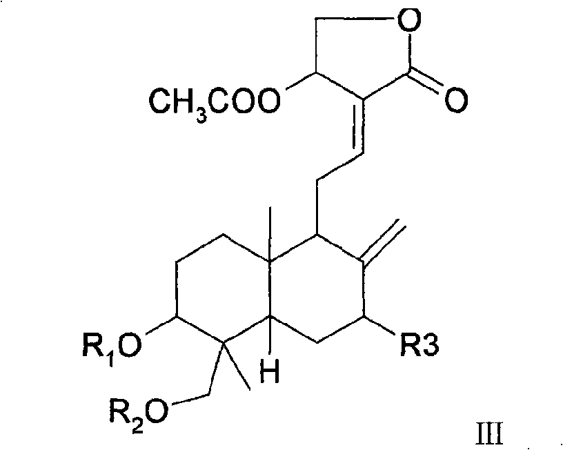 Medicinal composition containing andrographolide derivatives and preparation method thereof and application