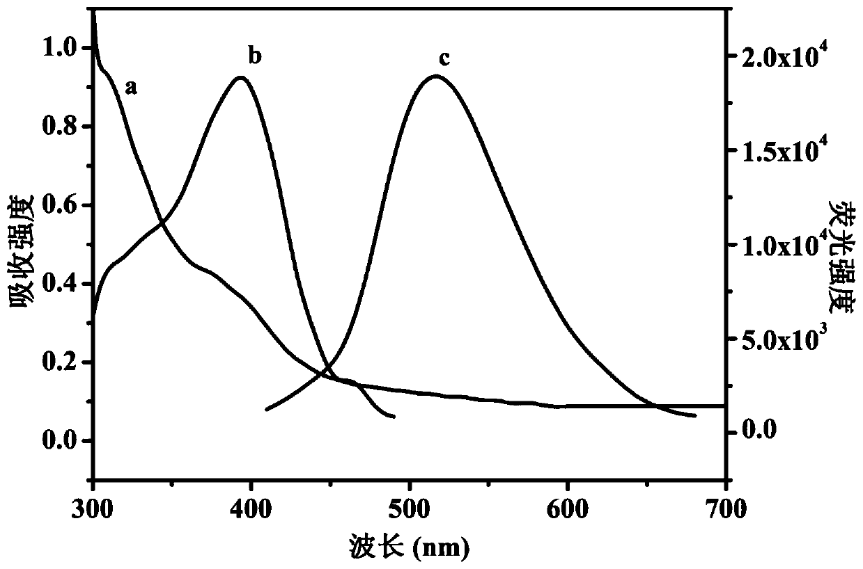 Fluorescent copper nano-cluster as well as preparation method and application thereof