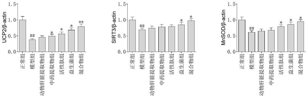 Method for extracting active ingredients for relieving non-alcoholic fatty liver disease and preparing composition of active ingredients for relieving non-alcoholic fatty liver disease