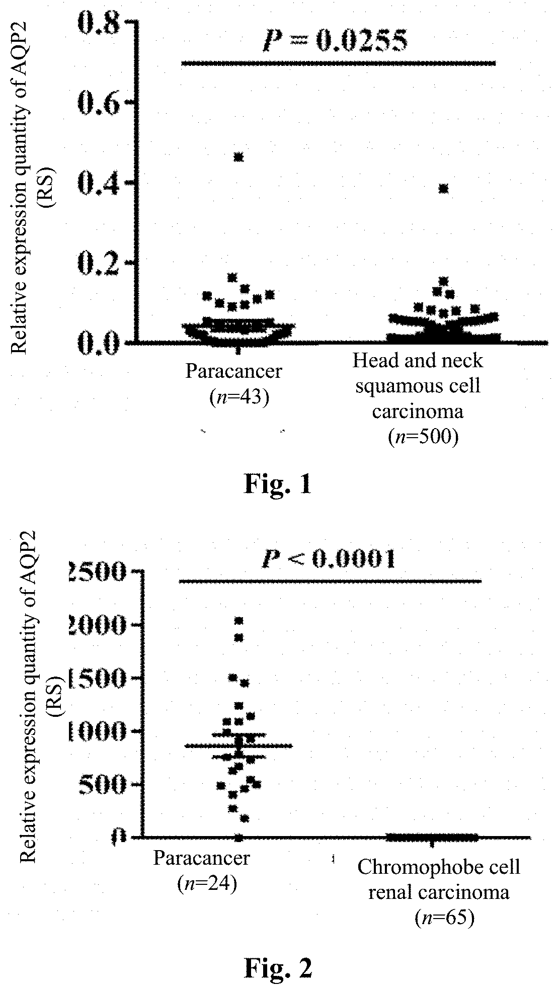 Tumor marker aquaporin 2 protein and application thereof