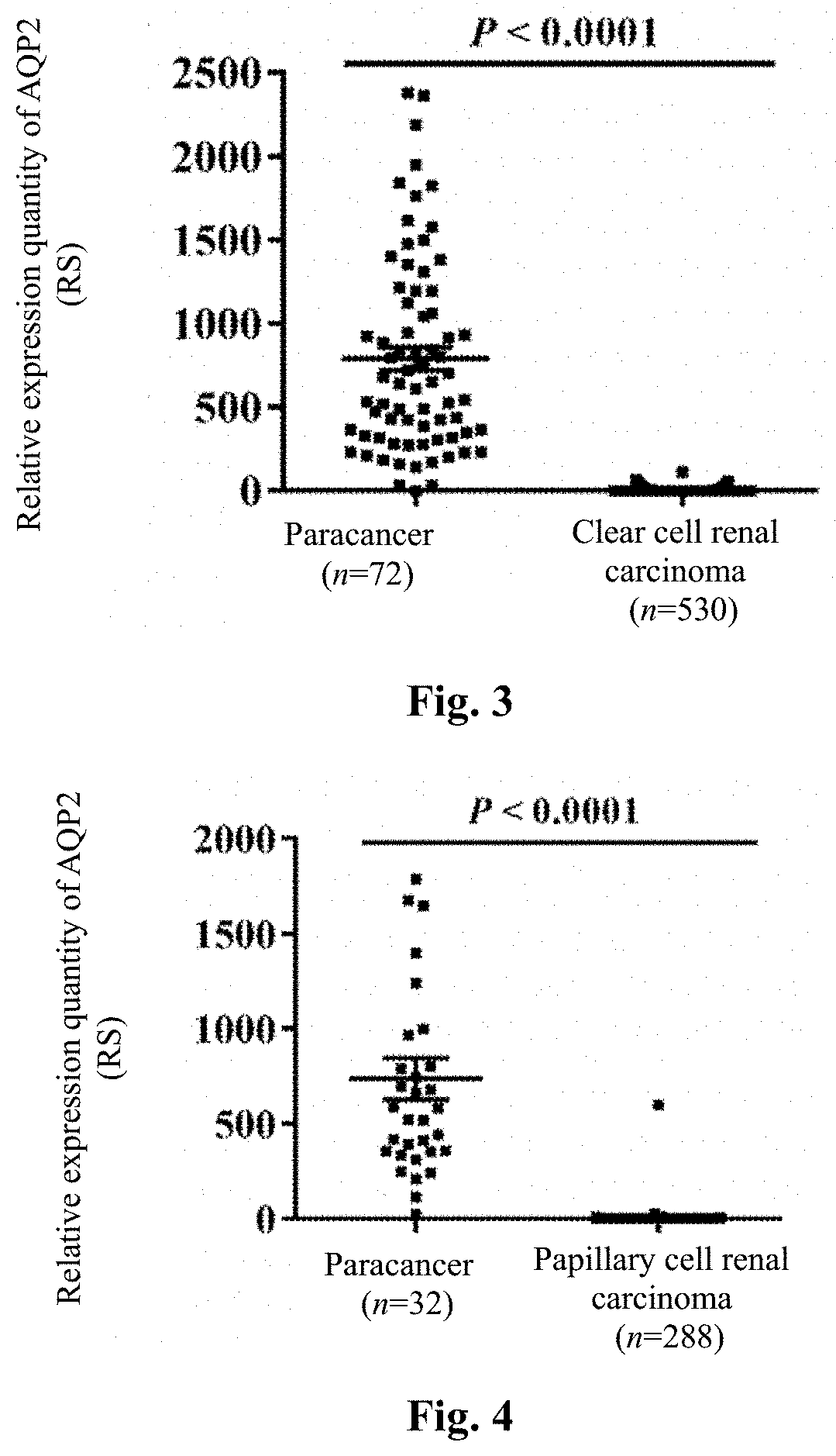 Tumor marker aquaporin 2 protein and application thereof