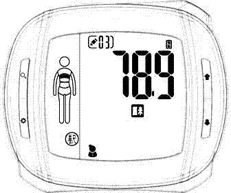 Electronic flexible rule capable of displaying variable quantity and measurement method thereof