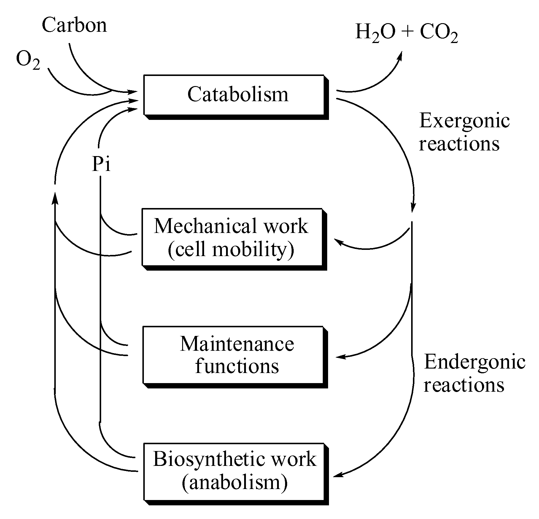 Altering metabolism in biological processes