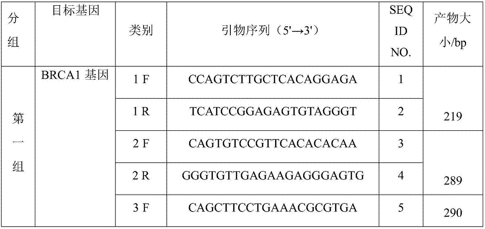 Kit for detecting abnormity of BRCA1 and PTEN genes and detection method