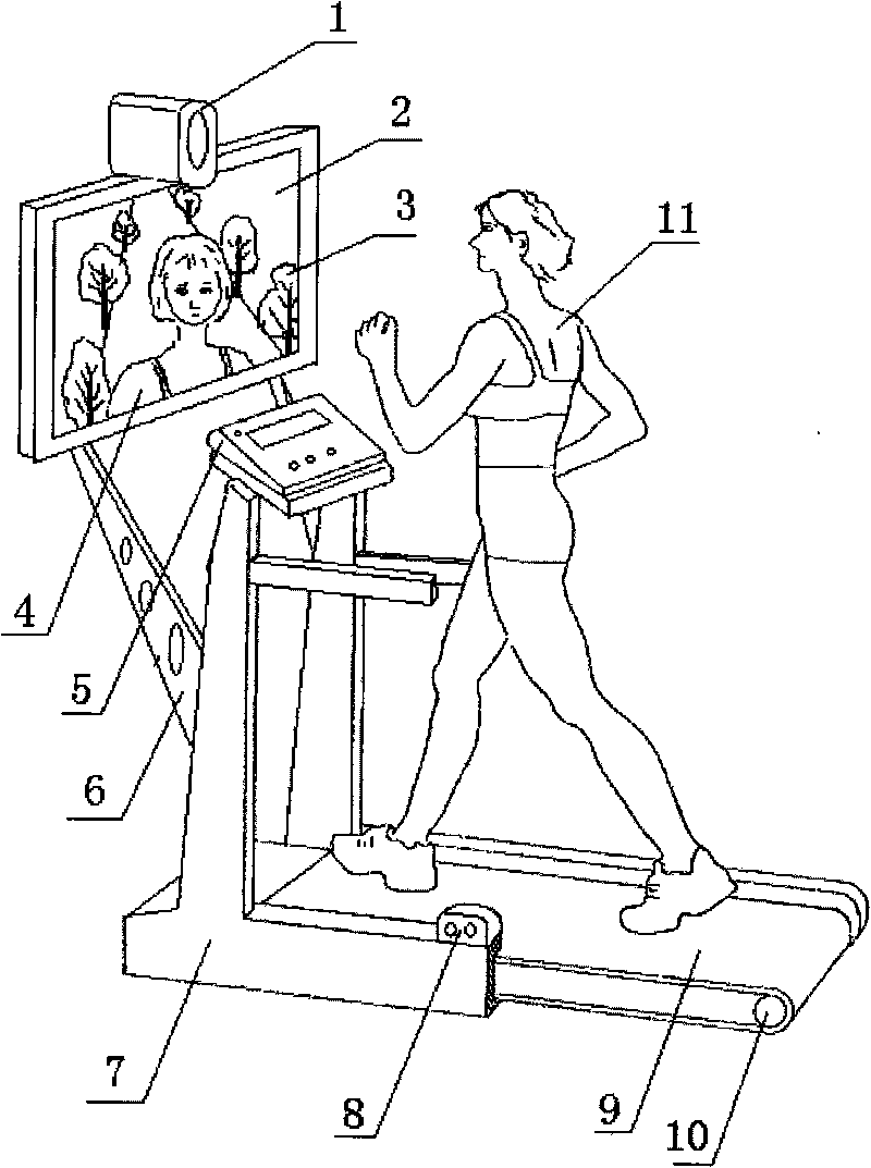 Game fitness equipment for simulating live-action traveling