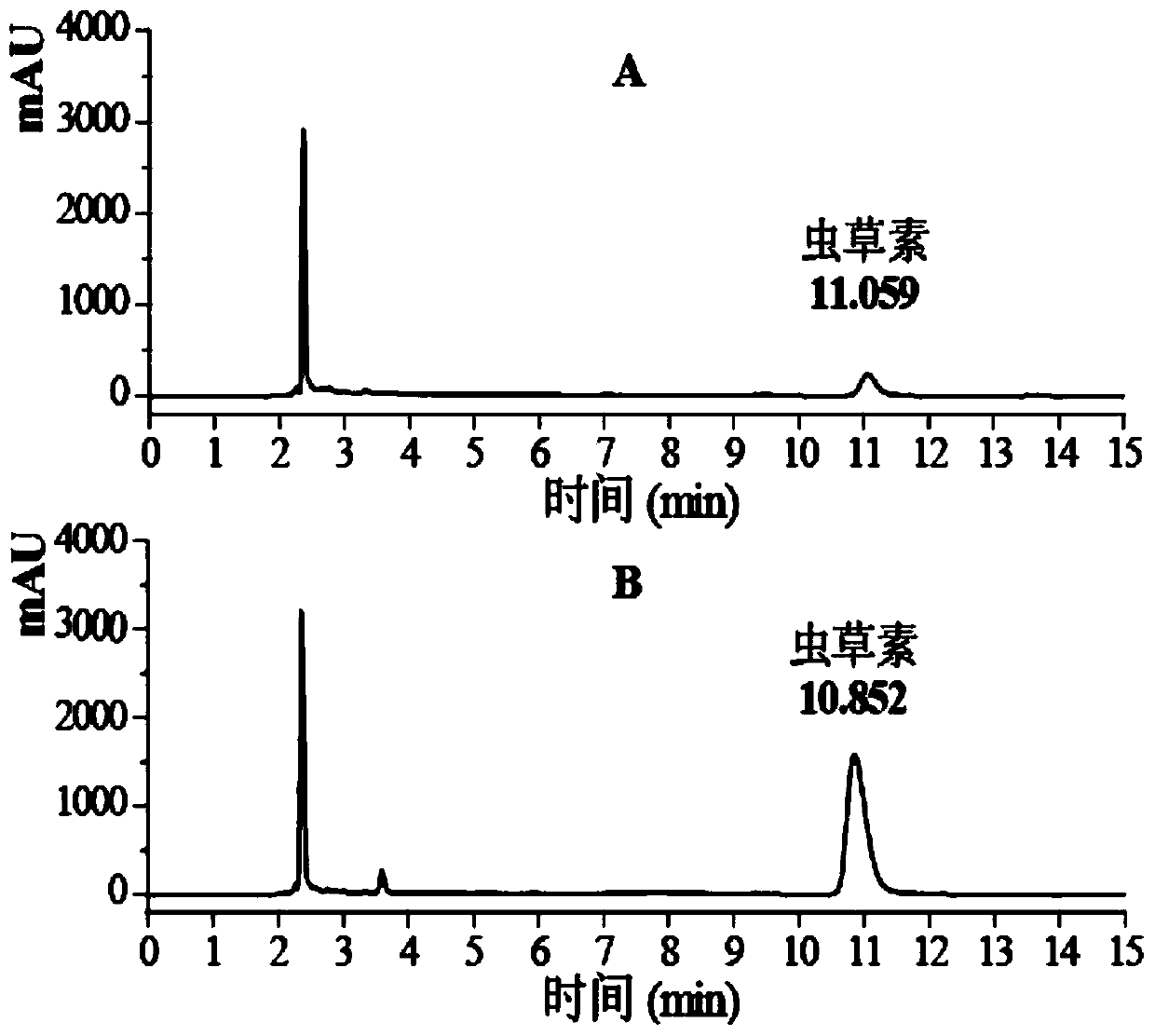 Cordyceps militaris mutant strain with high yield of cordycepin and its application