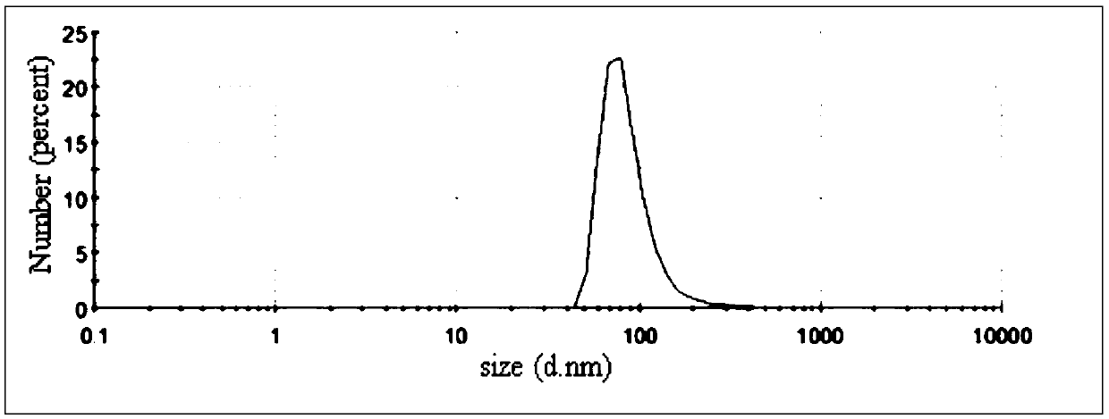 Madecassoside liposomal gel for local external application and preparation method thereof