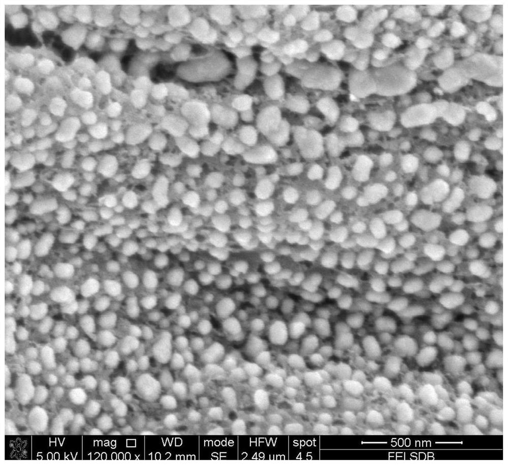 Preparation method of nickel nanoparticle/graphene electromagnetic wave absorbing material