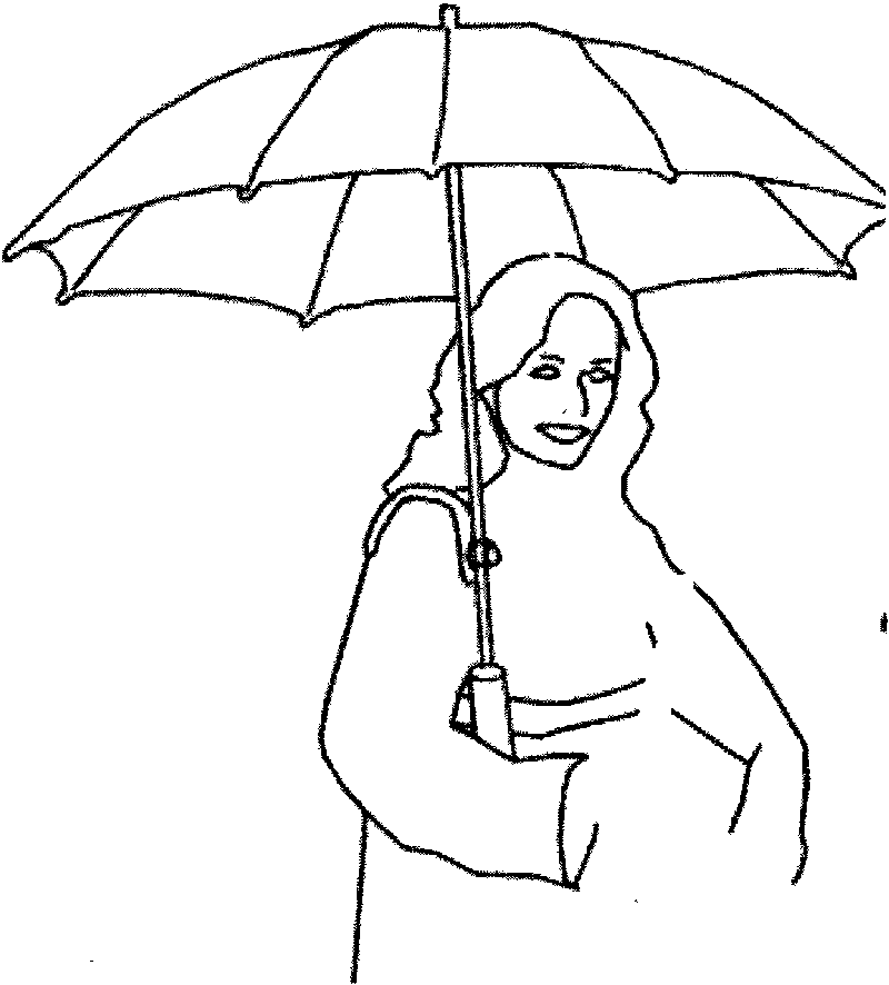 Main body backpack type umbrella