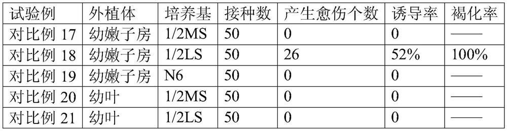 A kind of induction method of Jianlan callus