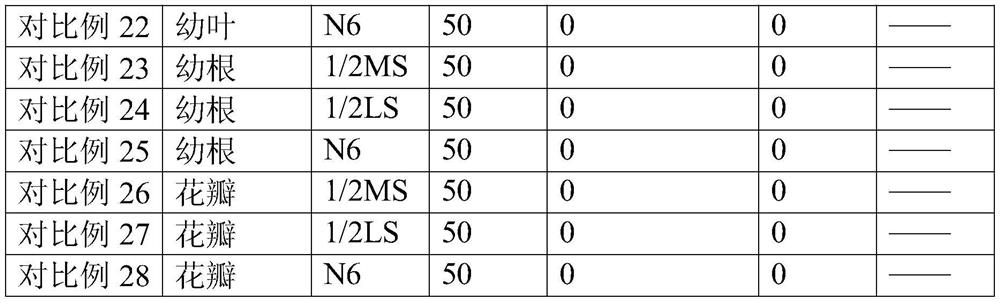 A kind of induction method of Jianlan callus