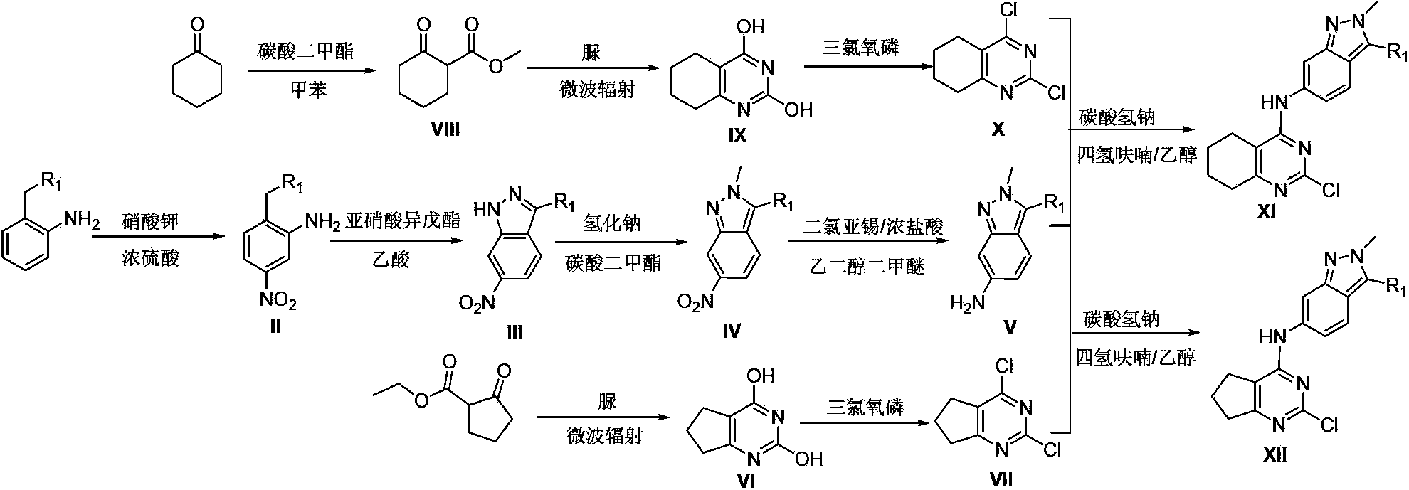 2,4-disubstituted-cycloalkyl[d]pyrimidine compound and its use