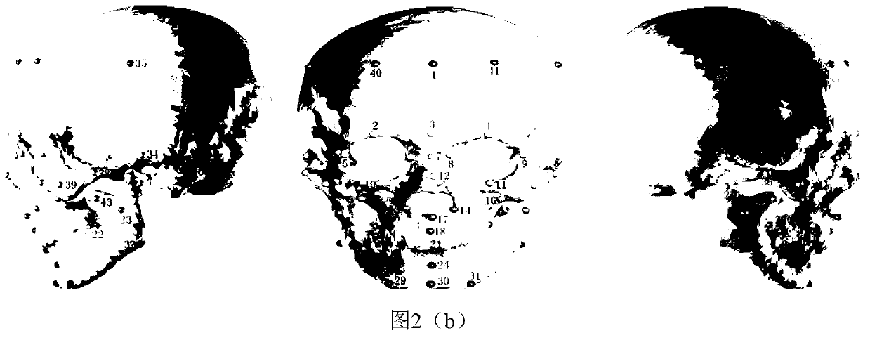 Model base for craniofacial reconstruction and craniofacial reconstruction method
