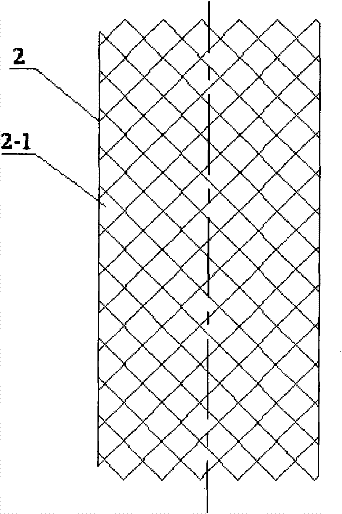 Piston type titanium wire mesh cage and manufacturing method thereof